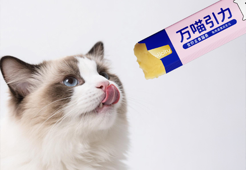Focusing on pets' dining experience, we have launched multiple new wet food varieties.